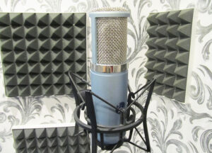 Микрофон для записи голоса AKG Perception 820 tube Микрофон для записи голоса AKG Perception 820 tube