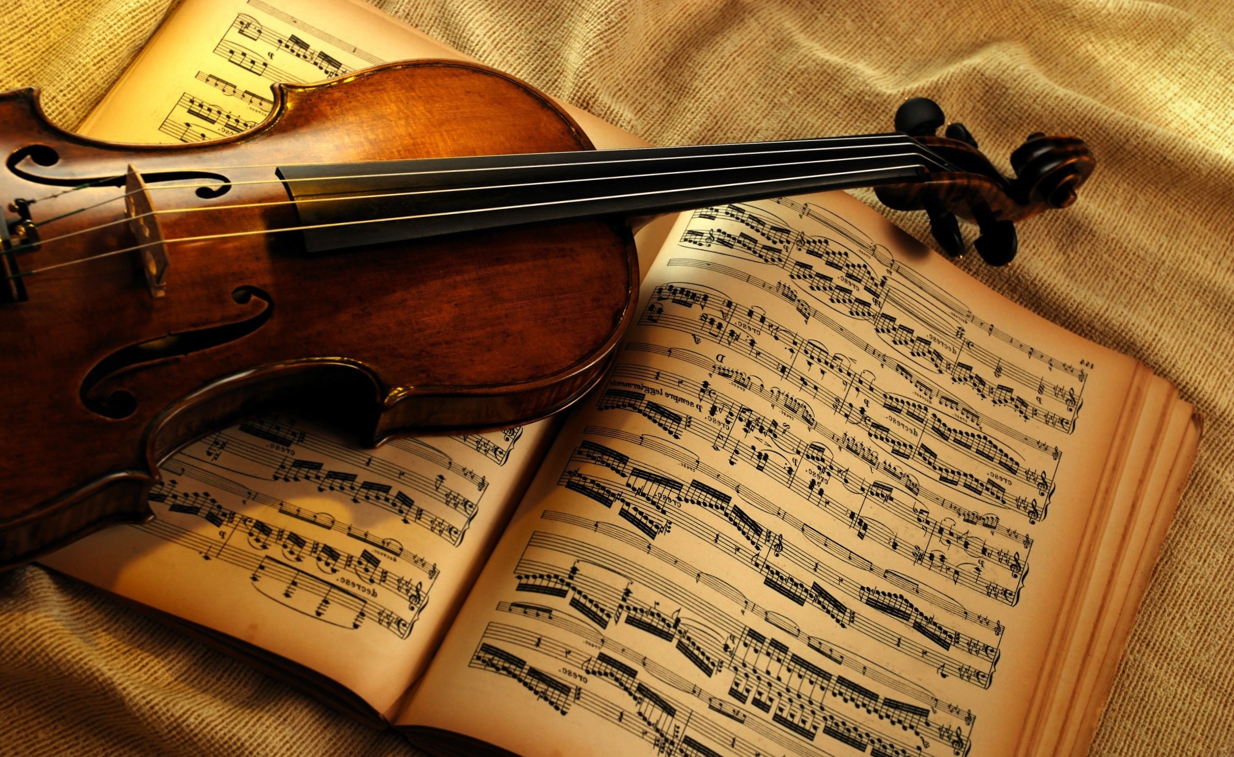 Скрипка и ноты 